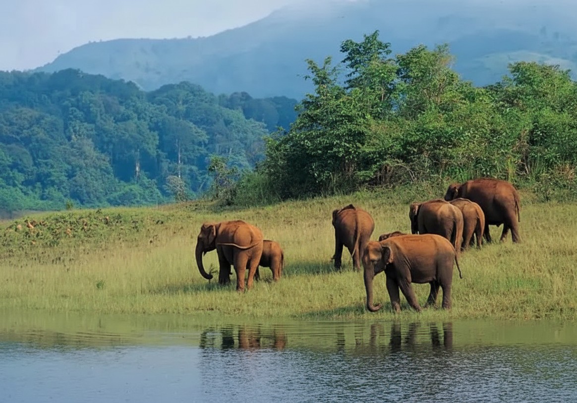 🌴 Retire & Wander: Enjoy the Golden Era - A 3-Day Kerala Retreat